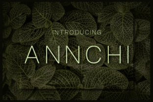Annchi: A Clean Sans Serif Typeface for Modern Branding