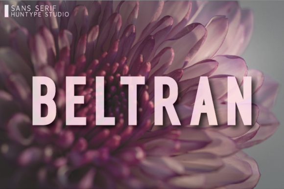 Beltran: The Premium Sans Serif Typeface for Modern Campaigns