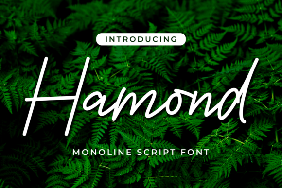 Hamond Typeface Review: A Delicate Handwritten Font for Modern Branding