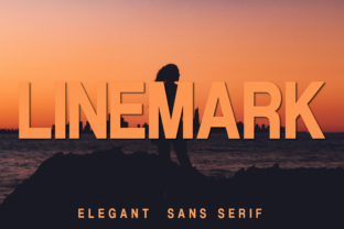 Linemark: A Modern Sans Serif Typeface for Editorial Design