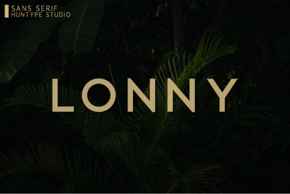 Lonny Font Review: A Premium Sans Serif for Modern Campaigns