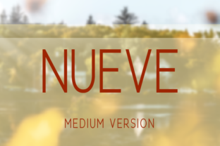 Nueve Medium: The Sans Serif Typeface for Polished Branding