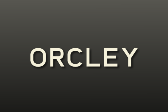 Orcley: The Sans Serif Typeface for Clean Campaign Visuals