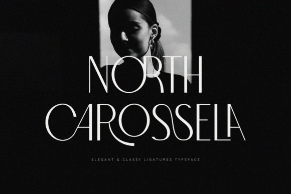 Why North Carossela Became My Go-To Sans Serif for Modern Web Design