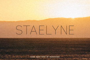 Why Staelyne Is the Perfect Sans Serif for Modern Campaigns