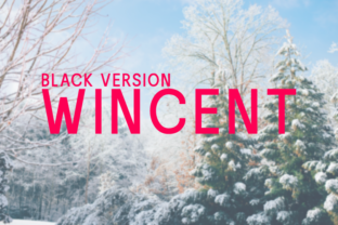 Wincent Black: A Geometric Sans Serif for Modern Editorial Design